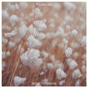 中文字幕视频在线观看
