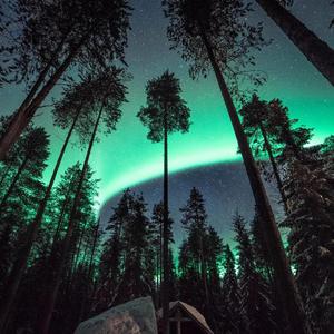 中文字幕视频在线观看
