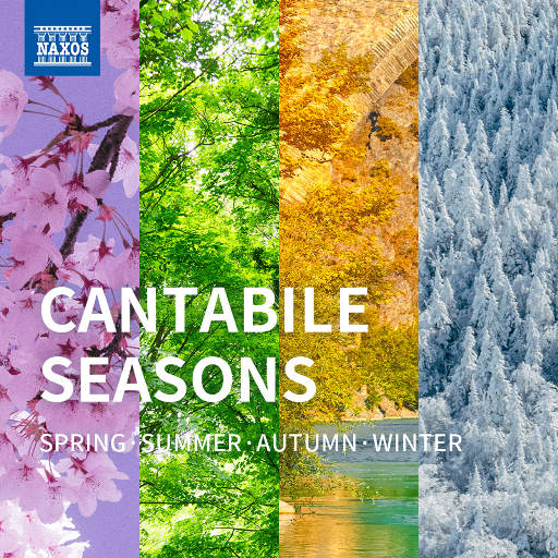 中文字幕视频在线观看
